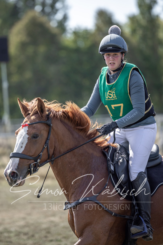 20250907-_3LI1893 | Tierfotografie Pferde, Hunde, Katzen, Haustiere.
Turnierfotografie Reitturniere, Reiten, Springreiten, Dressur in Hanau, dem Main-Kinzig-Kreis und dem Rhein-Main- Gebiet um Frankfurt