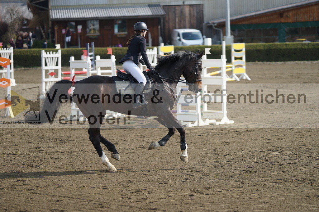 DSC00557 | equestrian-live-com
