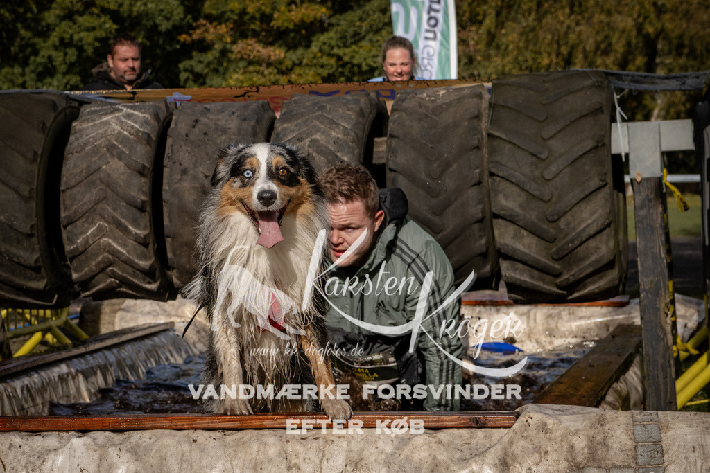 1342_ZZ92853 | kk-dogfotos