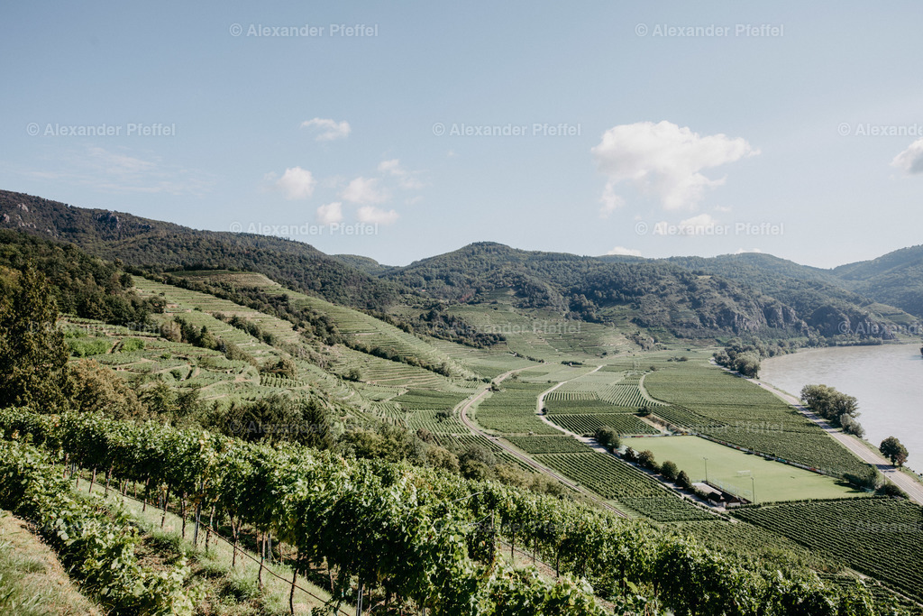 wachau_c_alexander_pfeffel-6739 | alexander-pfeffel - Realisiert mit Pictrs.com