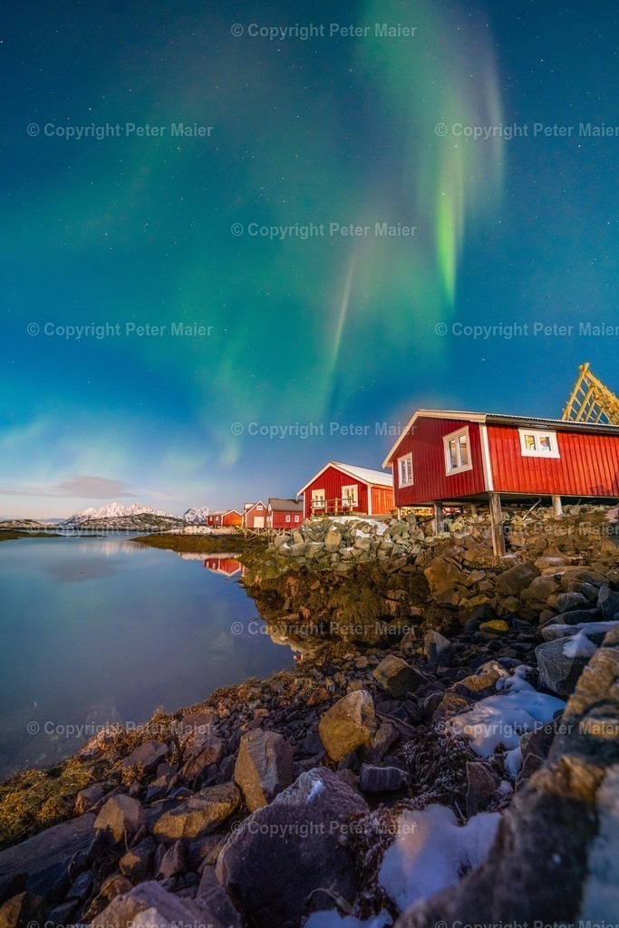 Lofoten_Nov_2023_Peter_Maier-4237 | piet_flosse