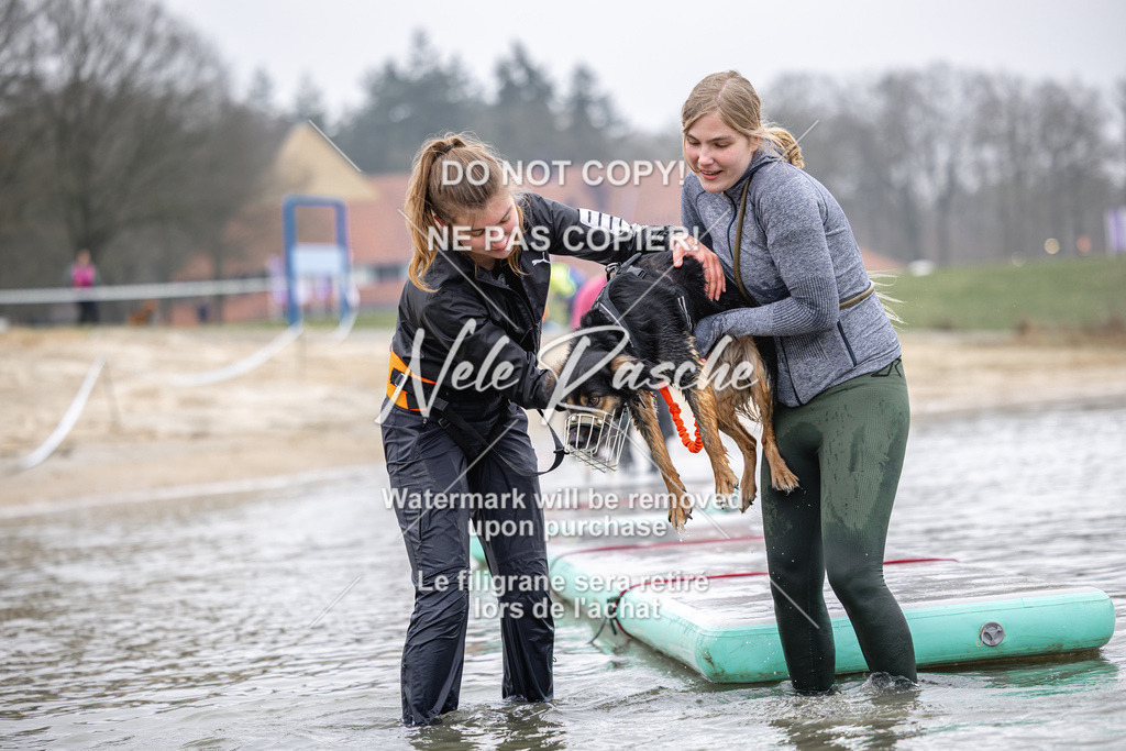 nelerasche_Hulsbeek_Sa1100-1130_197 | nelerasche