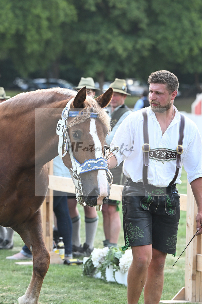 Kat-Nr. 51 Finesse G_Grandauer_20230802 | hf-fotografie - Realisiert mit Pictrs.com