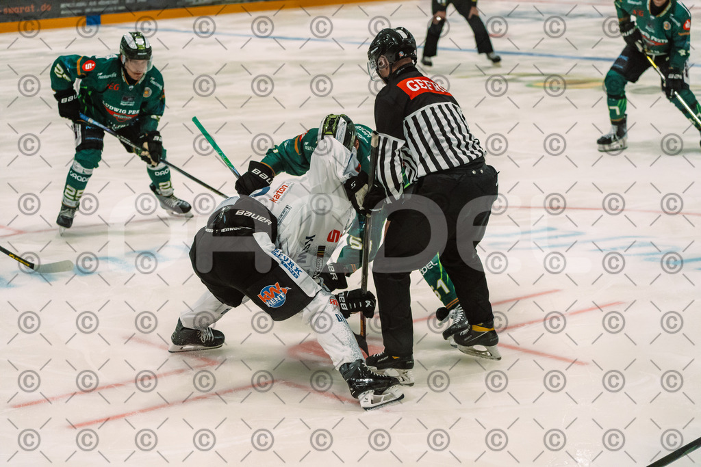 Alligatros_vs_Leipzig_11_09_2026-11 | Die Fotogalerie von Daddel: professionelle Bilder von Sport, Events und Unternehmen aus Franken. Jetzt Galerien durchstöbern und Lieblingsfotos bestellen. - Realisiert mit Pictrs.com