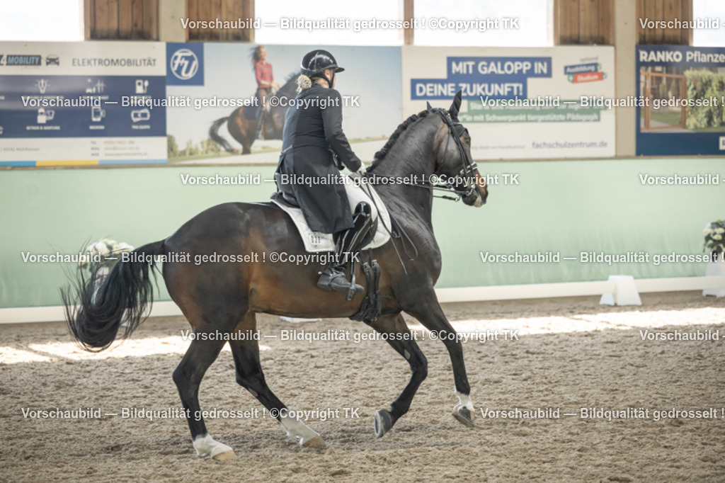 _D5A1920 | Emotionale Pferde- & People-Fotografie rund um Heidelberg, Leimen & Umgebung. Natürliche Fotos von Pferd, Mensch & Familie. Jetzt Termin sichern!