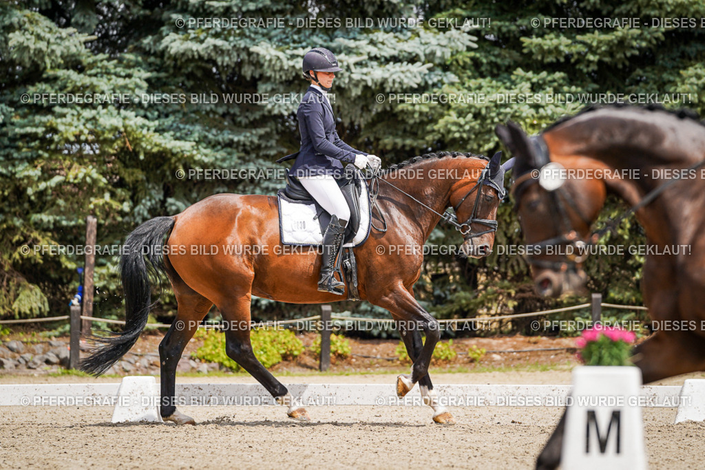 DSC02128 | Pferdegrafie