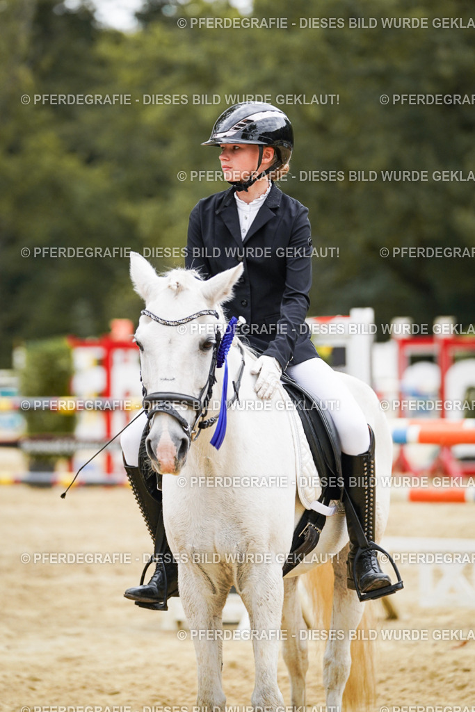 DSC06248 | Pferdegrafie