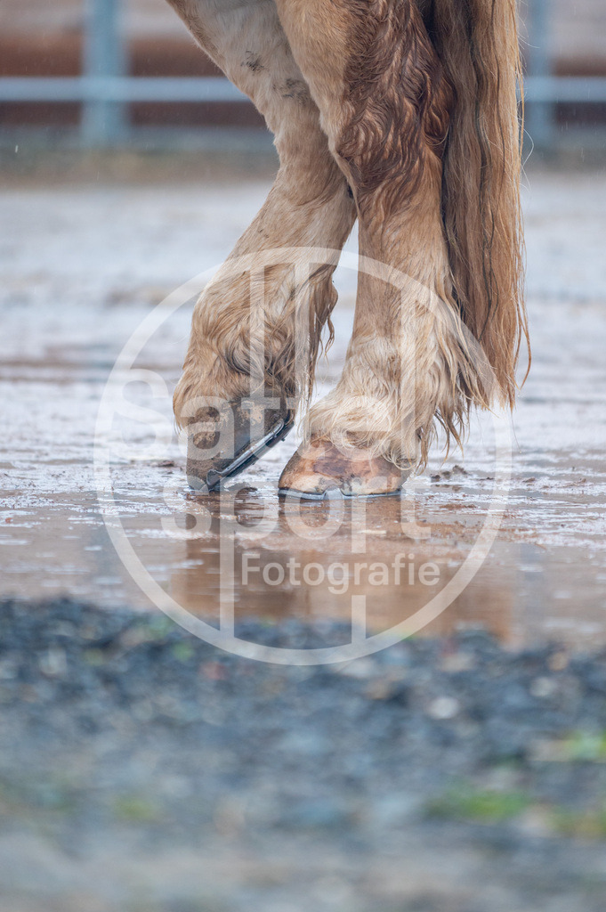 DSC_3015 | sattelsport - Realisiert mit Pictrs.com