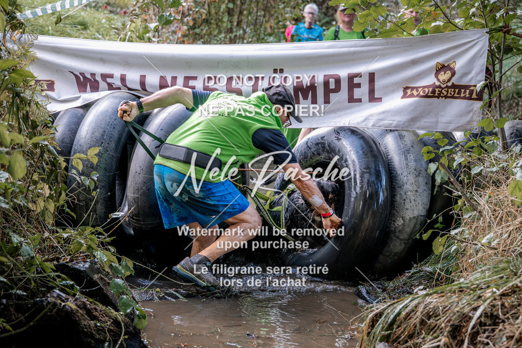 nelerasche_Hunsrück2026_Sa1400-1500_77 | nelerasche