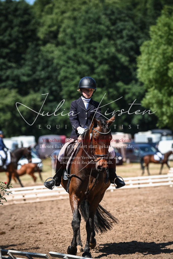 DSC_3312 | Pferde- und Turnierfotografie in Westsachsen. Pferdeportraits, Auftragszeichnungen und intuitive Kunst.