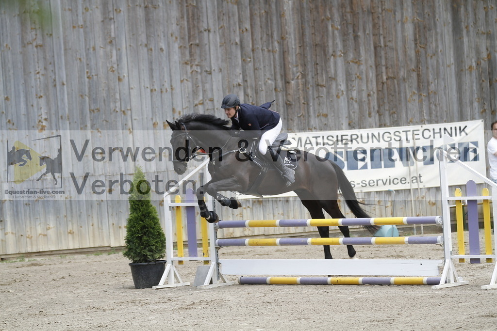_MG_1381 | equestrian-live-com