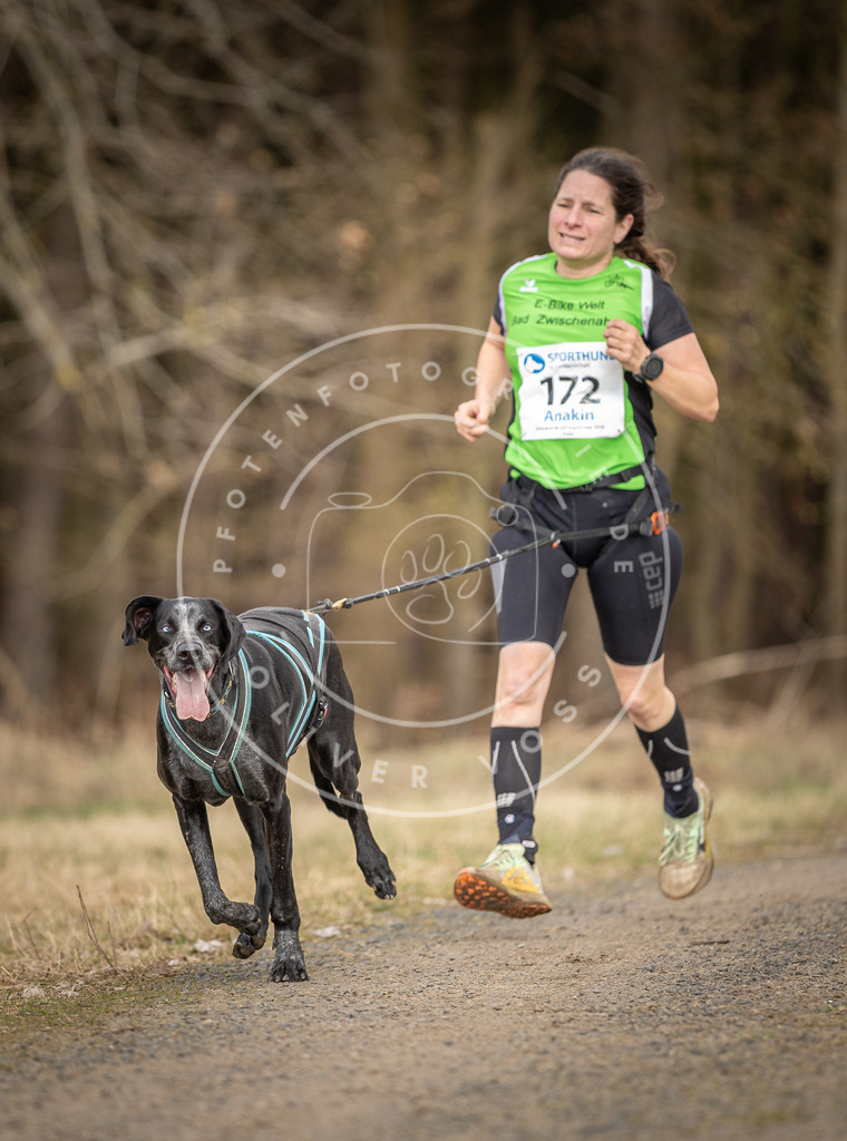 DV3A5392 | Hundefotografie, Tierfotograf, Pfotenfotografie, Fotoshooting Hund, Hunde Portrait, Hundesport, Hundeportraits, Heideshooting, Hunde, Sportfotograf, Hundefotograf, Turnierhundsport, THS,  - Realisiert mit Pictrs.com