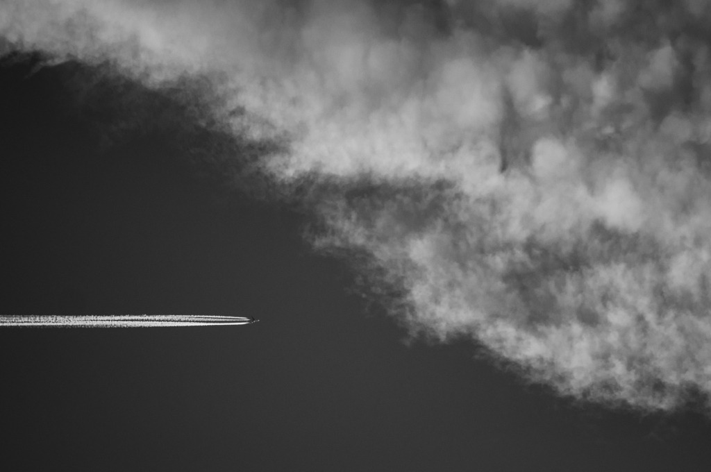 DSC_4118 | kaefersammler_roy - Realisiert mit Pictrs.com