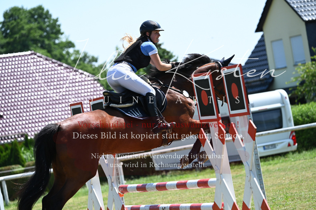 DSC_0666 | Pferde- und Turnierfotografie in Westsachsen. Pferdeportraits, Auftragszeichnungen und intuitive Kunst.