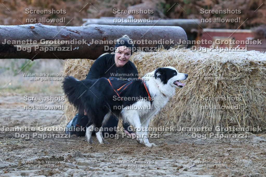 Dog Paparazzi - Strongdog 10-25-365 | Dog Paparazzi Jeanette Grottendiek Fotografie & Videografie - Realisiert mit Pictrs.com