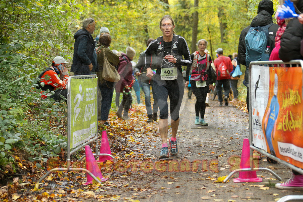 251026_1313_EX1_2910 | Sportfotografie im Rhein-Sieg Kreis, Köln, Bonn, NRW, Rheinland Pfalz, Hessen, etc. Unser Tätigkeitsfeld umfasst den Laufsport vom Volkslauf über den Marathon, Duathlon, Triathon bis zum Ultralauf wie Kölnpfad Ultra oder Schindertrail.