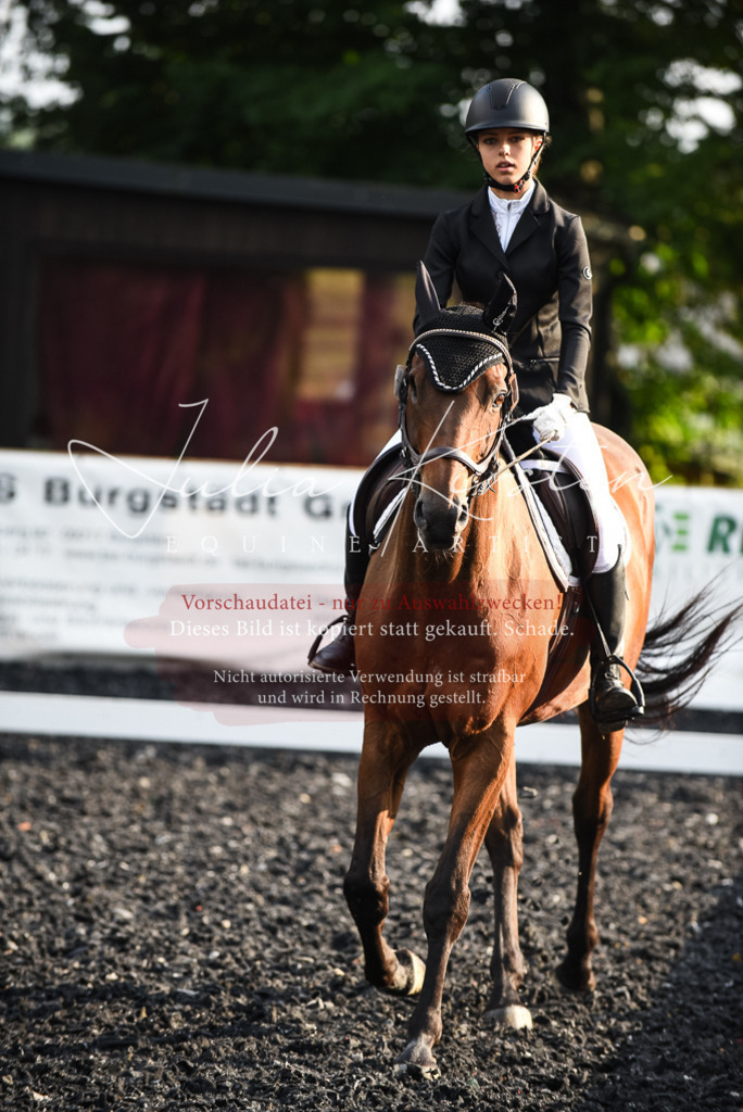 DSC_3485 | Pferde- und Turnierfotografie in Westsachsen. Pferdeportraits, Auftragszeichnungen und intuitive Kunst.