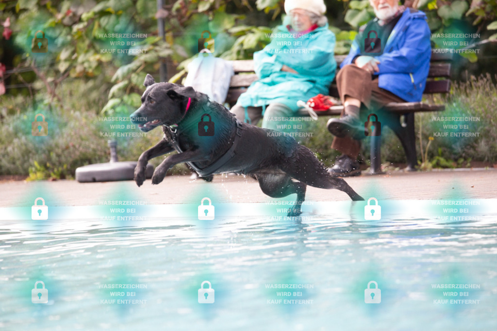 _HP_7499_1000o | HetPix, HetPix Fotodesign, Fotografie, Fotodesign, Webshop, Sportfotografie, Portraitfotografie, Onlineshop, Sportfotografie, Polch, Motorsportfotografie, Eventfotografie