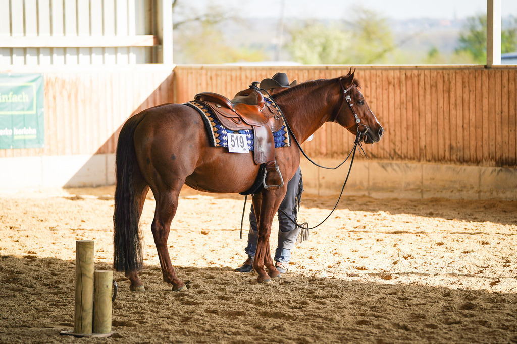 DSC09908 | Pferdegrafie