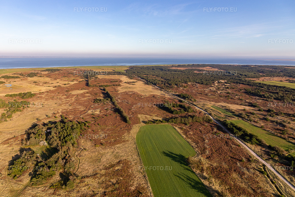 Vue aérienne: Parc national de la mer des Wadden à Fanø dans le département Syddanmark, Danemark. Photo: IMG_118827.jpg prise le 21/09/2019 par Werner Riehm/FLY-FOTO.euRésolution de l'original: 5219 x 3479 px