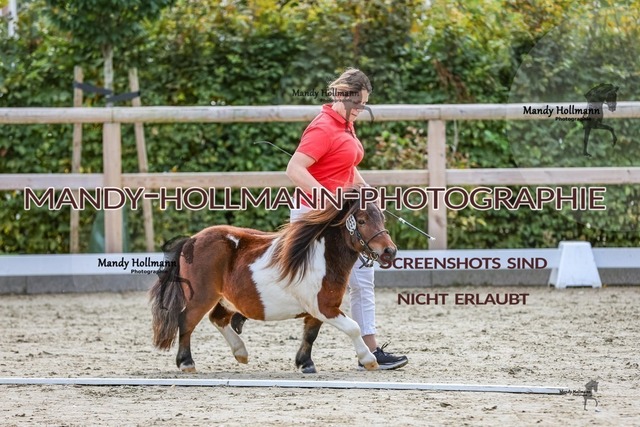 1-30 | mandyhollmannphotographie