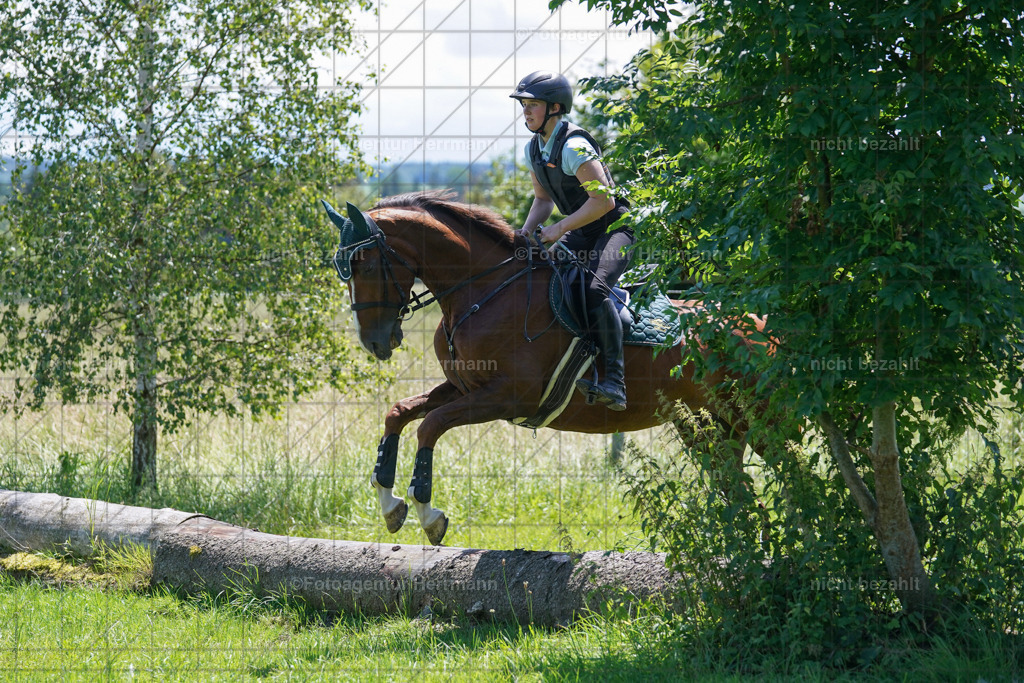 20240622-FAH06907 | Turnierfotografen Bayern, Reitsportbilder aus dem Geländekurs mit Felix Etzel auf dem Gut Waitzacker 2024