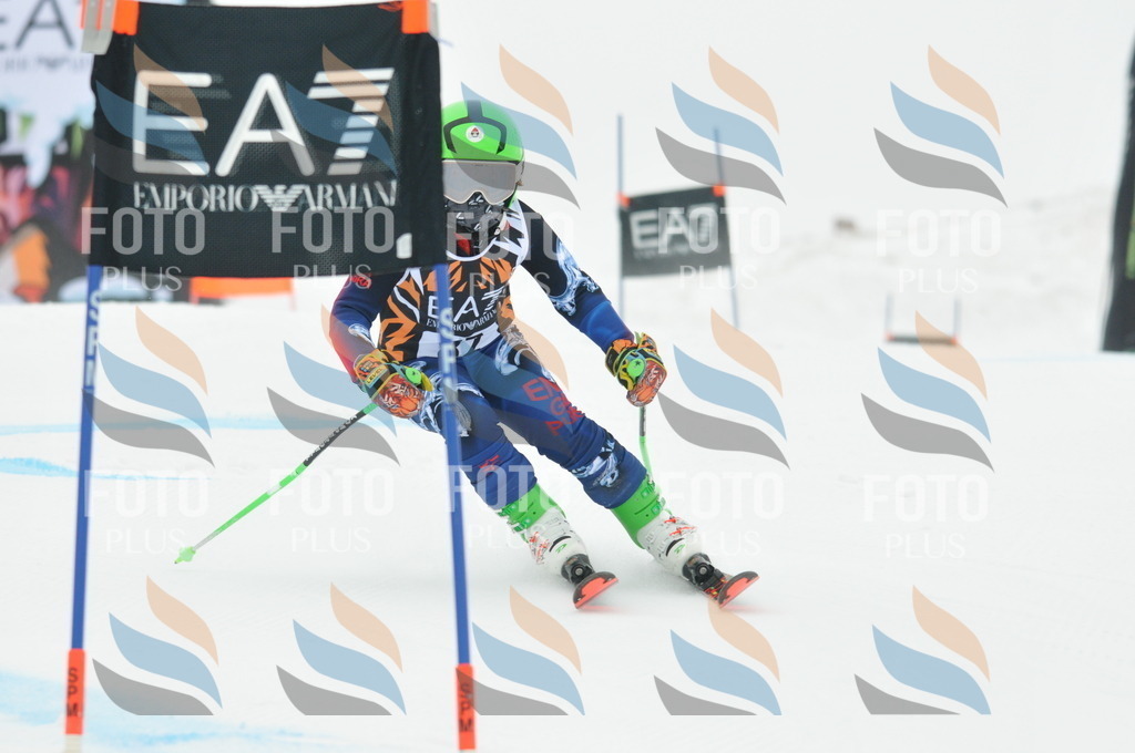 DSC_7919 | holidayphoto