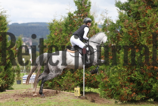 Altensteig_2024_Prfg.Nr.02_Geländepferdeprfg.Kl.A_Enya-Rosa Siewert_Amira 284 (11) | Alle Fotos der Reiterjournal Fotografin Doris Matthaes im Reiterjournal Online-Fotoshop. - Realisiert mit Pictrs.com