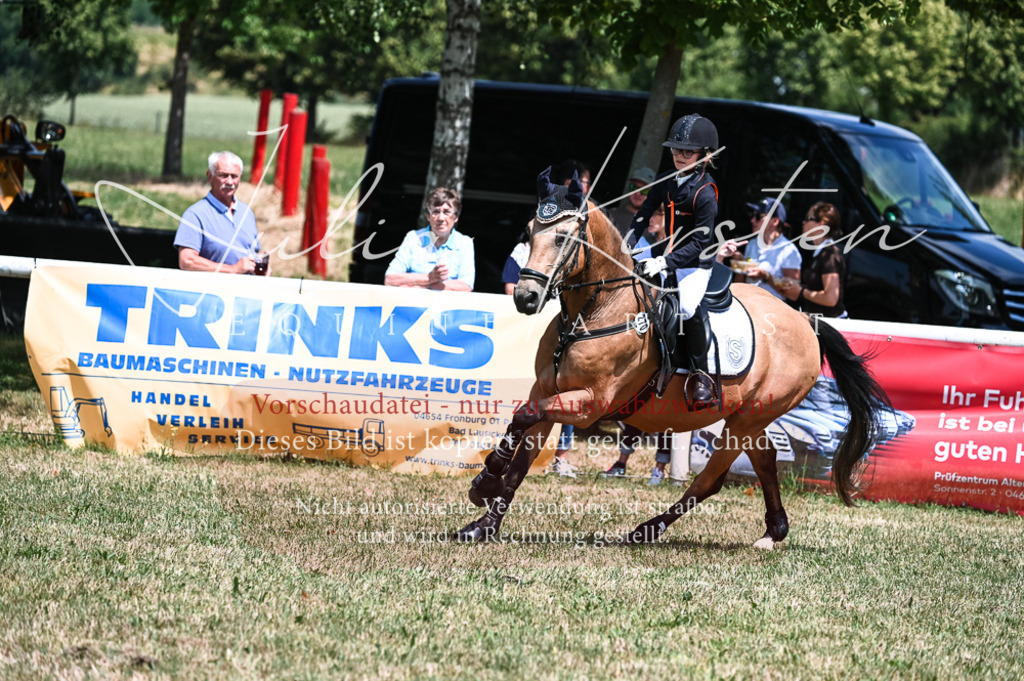 DSC_9710 | Pferde- und Turnierfotografie in Westsachsen. Pferdeportraits, Auftragszeichnungen und intuitive Kunst.