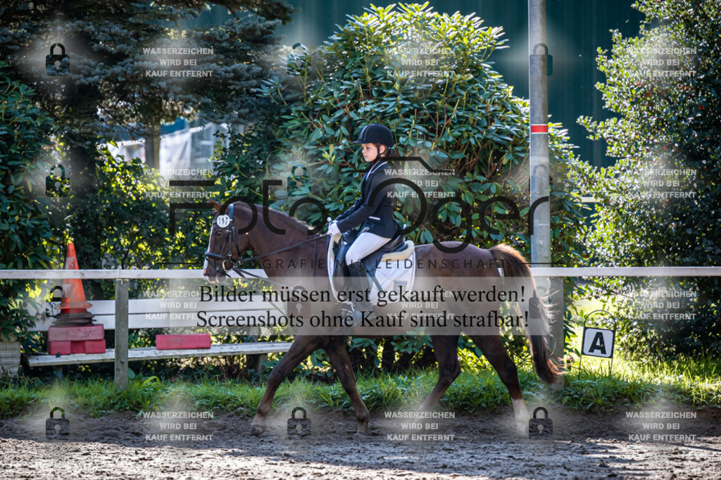 2026-10-Helle-20-4-0001 | Entdecke hochwertige Reitturnierfotos von Foto Oger. Professionell, emotional und authentisch – jetzt Lieblingsmomente im Shop bestellen.Deutschlandweite Turnierfotografie. - Realisiert mit Pictrs.com