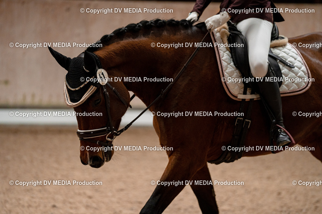 Dressur Tag 1 -112 | dv-media-shop - Realisiert mit Pictrs.com