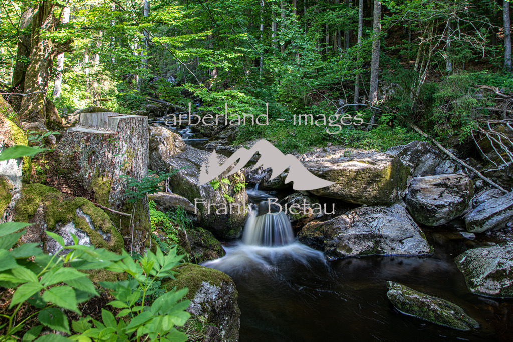 OE7A5267 | wildes Wasser und wilder Wald, mitten im Bayerischen Wald. Die Felsenschlucht wird oft auch als Naturjuwel bezeichnet und ist das Ziel vieler Wanderer.