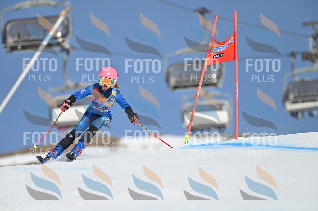 BGV_8212 | holidayphoto