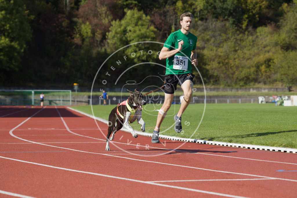 0L8A9786 | Hundefotografie, Tierfotograf, Pfotenfotografie, Fotoshooting Hund, Hunde Portrait, Hundesport, Hundeportraits, Heideshooting, Hunde, Sportfotograf, Hundefotograf, Turnierhundsport, THS,  - Realisiert mit Pictrs.com