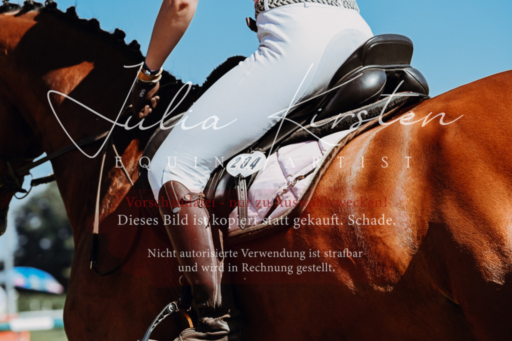 DSC_6538 | Pferde- und Turnierfotografie in Westsachsen. Pferdeportraits, Auftragszeichnungen und intuitive Kunst.