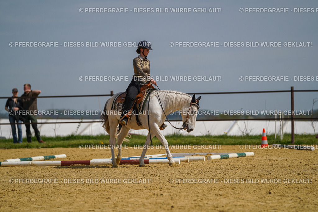 DSC04740 | Pferdegrafie