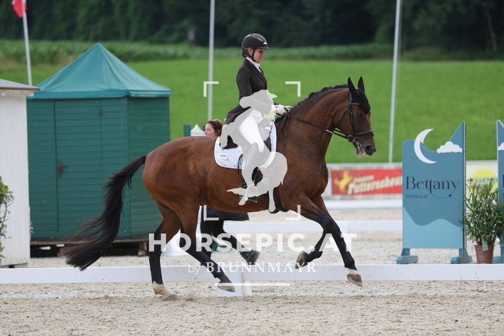 0P6A8180 | Willkommen bei Brunnmayr - Design & Fotografie – Ihrem Spezialisten für Reitturniere und Pferdeveranstaltungen in Oberösterreich, Salzburg und Bayern! Seit über 17 Jahren sind wir leidenschaftlich dabei.