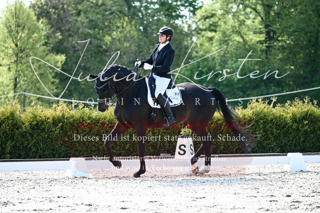 20230513_JK-Röhrsdorf-10-0179 | Pferde- und Turnierfotografie in Westsachsen. Pferdeportraits, Auftragszeichnungen und intuitive Kunst.