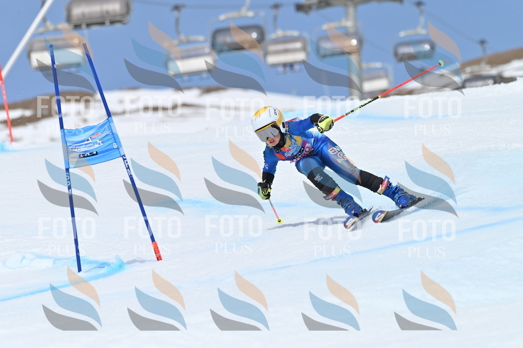 BGV_2406 | holidayphoto