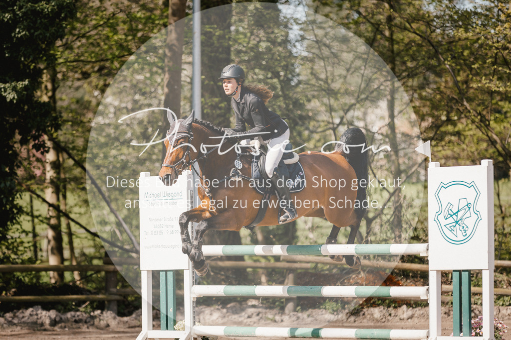 3I6A3936 | Stimmungsvolle Portraits und Reitsportfotografie im Ruhrgebiet und im Münsterland.

Pferdefotografie, Hundefotografie, Tierfotografie, Reportagen, Portraits von Tier und Mensch, Turnierfotografie in Bochum, Recklinghausen, Marl, Haltern am See, Dülmen.. - Realisiert mit Pictrs.com