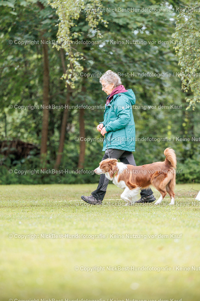 RO-Blumenthal-2026-Nickbest-Hundefotografie-5551 | Dein Hund! Dein Moment! Deine Erinnerungen! Hundefotografie in Bremen Blumenthal. Ich fange die besonderen Momente deines Vierbeiners ein – ob Indoor mit Blitzanlage oder in der freien Natur. Sicher dir dein Moment und dein Termin für eure Erinnerungen.