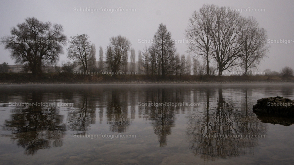 Nebel an der Aare | Spiegelung der Bäume mit Nebel an der Aare - Realisiert mit Pictrs.com