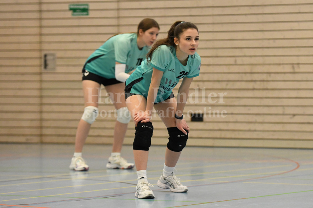 TSV Deggendorf Damen  : FC Ruderting | TSV Deggendorf Damen Volleyball - Realisiert mit Pictrs.com