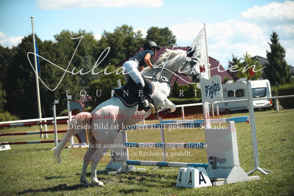 DSC_7266 | Pferde- und Turnierfotografie in Westsachsen. Pferdeportraits, Auftragszeichnungen und intuitive Kunst.