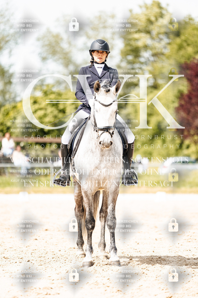 CK901631 | Turnierfotografie Pferdefotografie Trier Rheinland-Pfalz Pferdesport Reitsport Tierfotografie Sportfotografie Pferdevideo Pferdevideografie Equestrianvideography equestrianphotography  - Realisiert mit Pictrs.com
