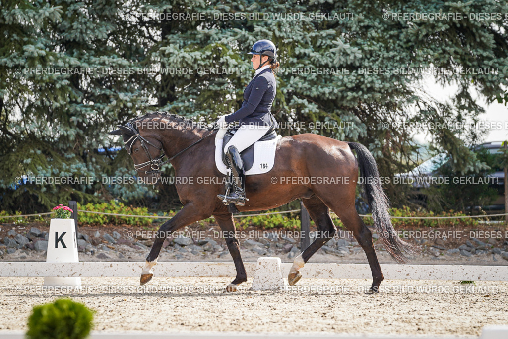 DSC06889 | Pferdegrafie