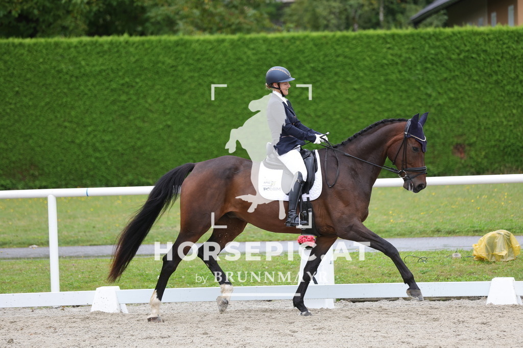 0P6A8758 | Willkommen bei Brunnmayr - Design & Fotografie – Ihrem Spezialisten für Reitturniere und Pferdeveranstaltungen in Oberösterreich, Salzburg und Bayern! Seit über 17 Jahren sind wir leidenschaftlich dabei.