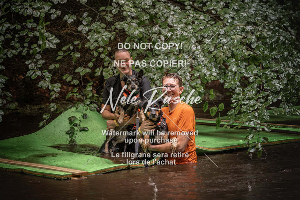 nelerasche_Wingst_Sa1330-1400_139 | nelerasche