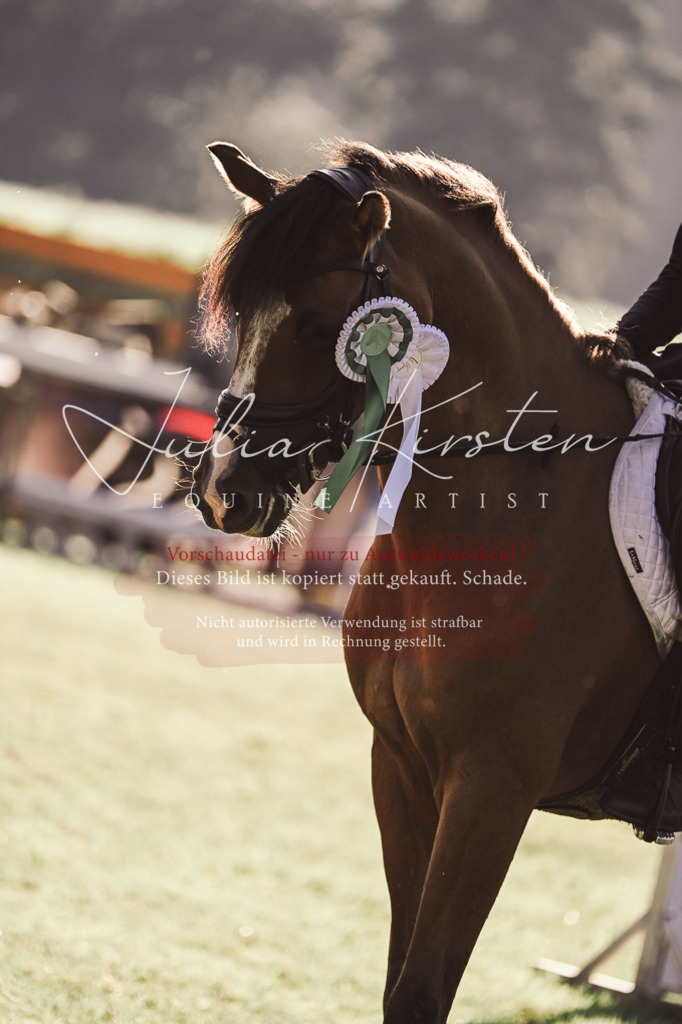 DSC_4613 | Pferde- und Turnierfotografie in Westsachsen. Pferdeportraits, Auftragszeichnungen und intuitive Kunst.