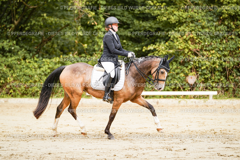 DSC02668 | Pferdegrafie